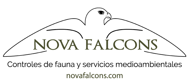 nova falcons tagline
